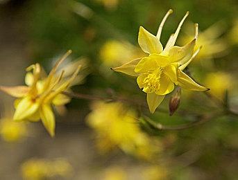 3DM速报：国产手游上线遭黑客勒索关服 爆料称异度神剑3接近完成